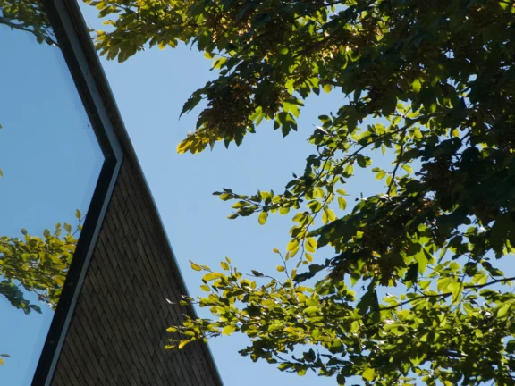 Fotoshoot Automation Solutions