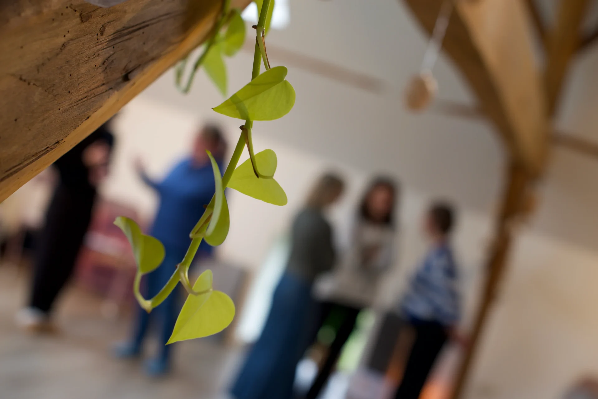 Groepssessie touch your iKiGai